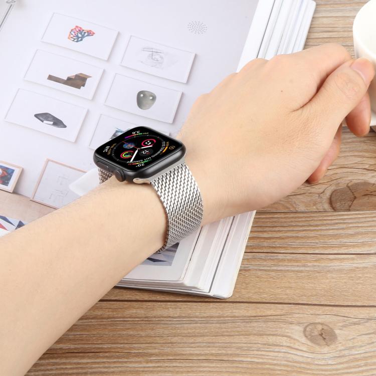 For Apple Watch 42mm / 41mm / 40mm / 38mm Double-section Magnetic Milanese Titanium Watch Band(Silver) by bashfashion