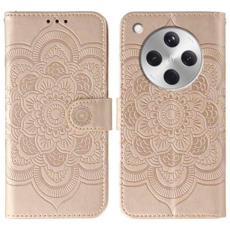 EDA006314013E.jpg@c3921e85b25846b69feafd3f50144dc5