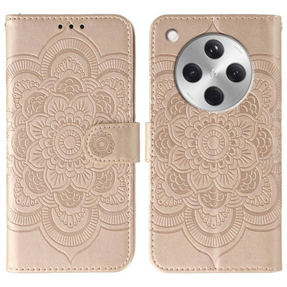 EDA006314013E.jpg@c3921e85b25846b69feafd3f50144dc5