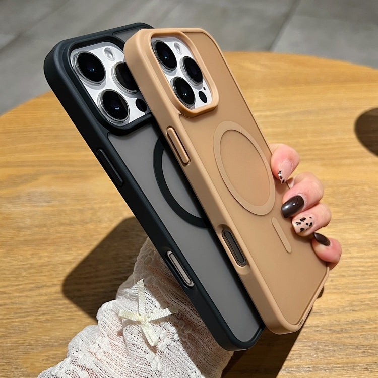 EDA0074249_B4.jpg@39b9e6b2e3e214246c0236e8aa96774a