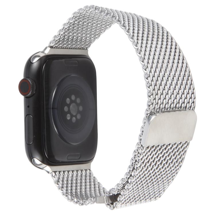 For Apple Watch 42mm / 41mm / 40mm / 38mm Double-section Magnetic Milanese Titanium Watch Band(Silver) by bashfashion