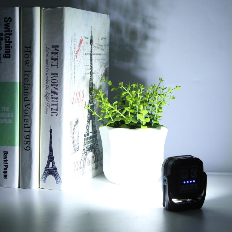 EDA007967601A_6.jpg@b9f83f928a9744935cda138a360fe152