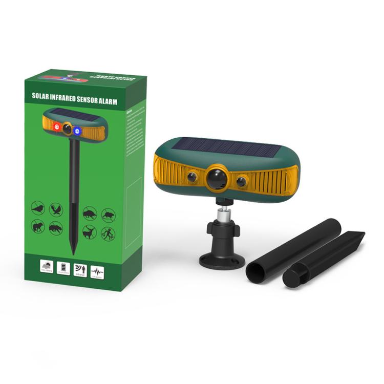 EDA008592901A_8.jpg@2e60373ebd9e1a5fc5b6aa45805b623e