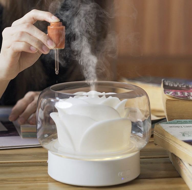 400ml Rose Aromatherapy Diffuser Timing Humidifier with Seven-color Light,CN Plug(Gray) by bashfashion