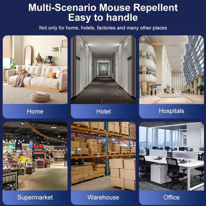 TBD06062359_B7.jpg@423874d7fe38b4a1dc567791dece37e7