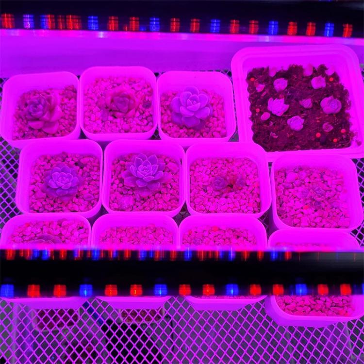 TBD06063446_B7.jpg@cf165cbbc06a030f4022270d3428fe51